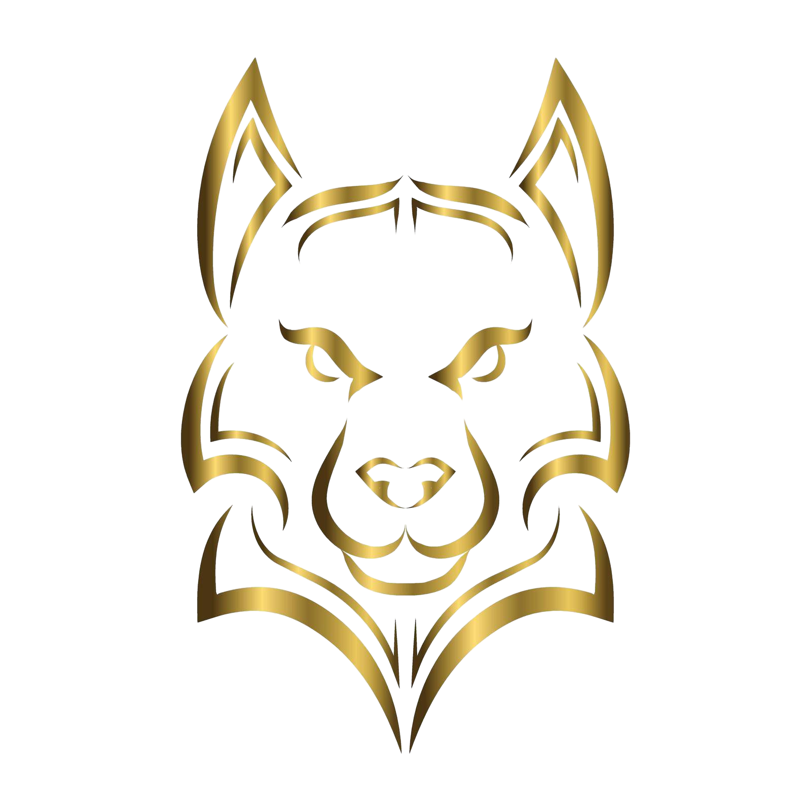 —Pngtree—versatile gold wolf head art_10568670